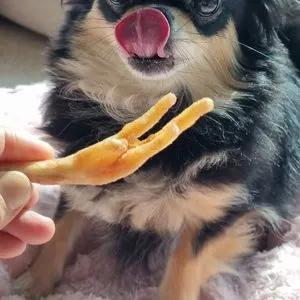 베스트 후기 이미지