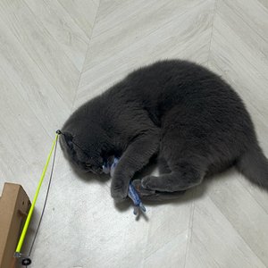 베스트 후기 이미지