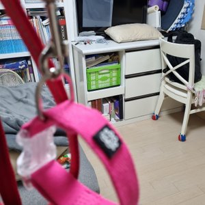 베스트 후기 이미지