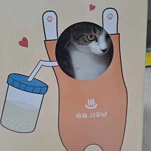 베스트 후기 이미지