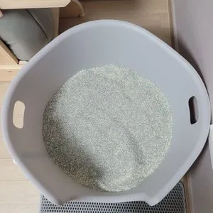 베스트 후기 이미지