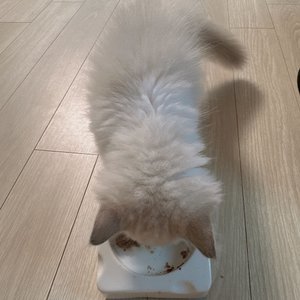 베스트 후기 이미지