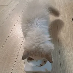 베스트 후기 이미지