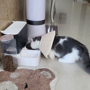 베스트 후기 이미지
