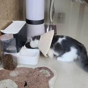 베스트 후기 이미지