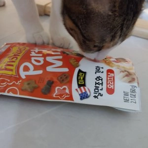 퓨리나 캣 프리스키 파티믹스 오리지날 60g 베스트 후기 이미지