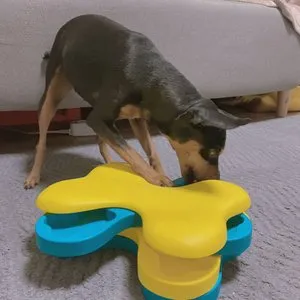 베스트 후기 이미지