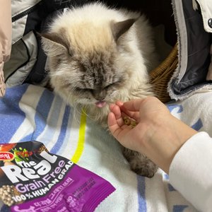 베스트 후기 이미지