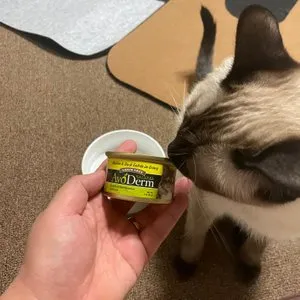 베스트 후기 이미지