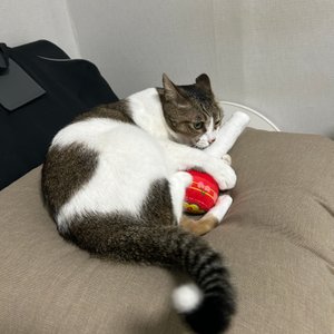 베스트 후기 이미지