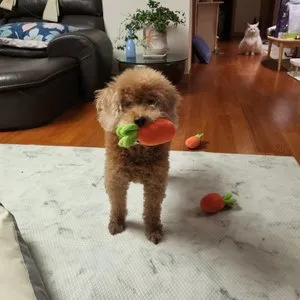 베스트 후기 이미지