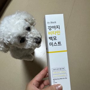 베스트 후기 이미지