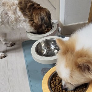 베스트 후기 이미지