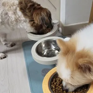 베스트 후기 이미지