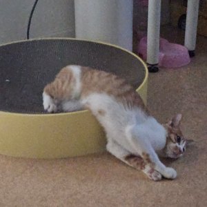 베스트 후기 이미지