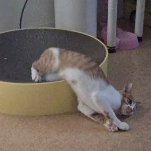 베스트 후기 이미지