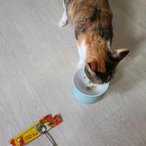 이나바 캣 챠오 츄르 닭가슴살 버라이어티 14g*40p 베스트 후기 이미지