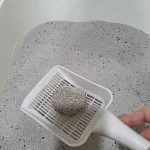 베스트 후기 이미지