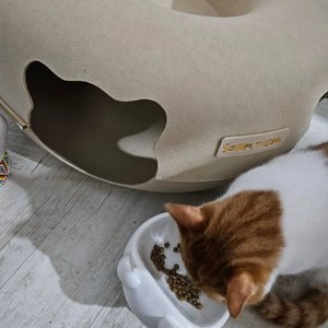 블루버팔로 캣 인도어 치킨 어덜트 1.8kg 베스트 후기 이미지