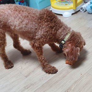 베스트 후기 이미지