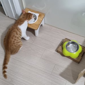베스트 후기 이미지
