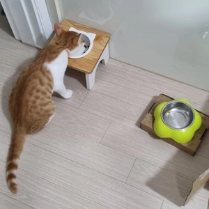 [무료배송] 스펜서 원목 도자기 식기 화이트/블랙 베스트 후기 이미지