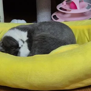 베스트 후기 이미지