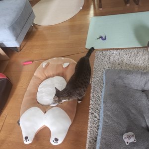 베스트 후기 이미지