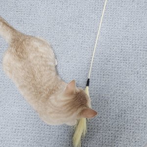 베스트 후기 이미지