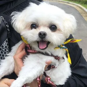 베스트 후기 이미지