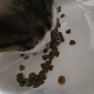 베스트 후기 이미지