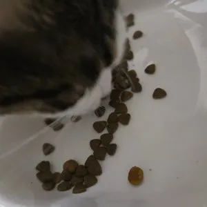 베스트 후기 이미지