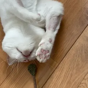 베스트 후기 이미지