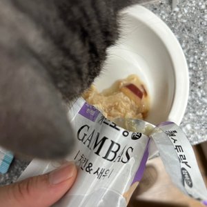 베스트 후기 이미지