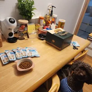 베스트 후기 이미지