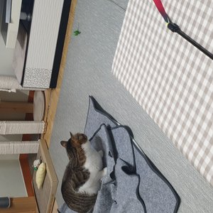 베스트 후기 이미지