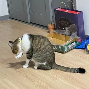 베스트 후기 이미지