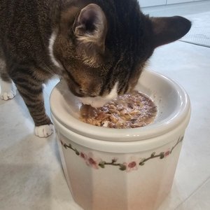 베스트 후기 이미지