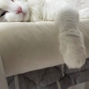베스트 후기 이미지