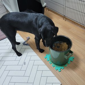 베스트 후기 이미지