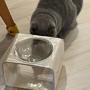 베스트 후기 이미지