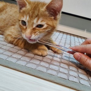 베스트 후기 이미지