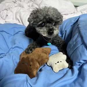 베스트 후기 이미지