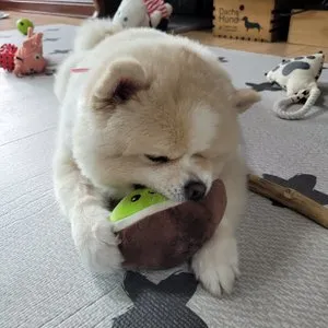 베스트 후기 이미지