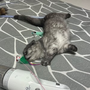 베스트 후기 이미지