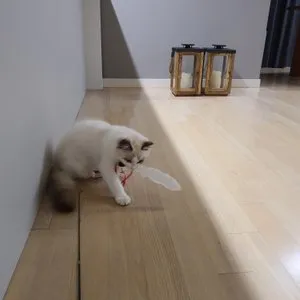 베스트 후기 이미지