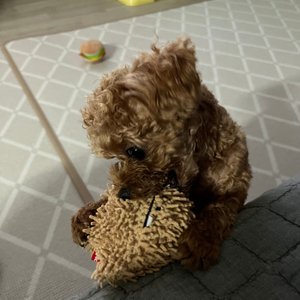 베스트 후기 이미지