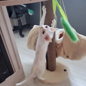 베스트 후기 이미지