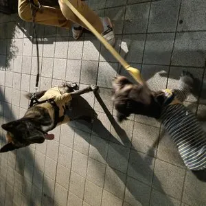 베스트 후기 이미지