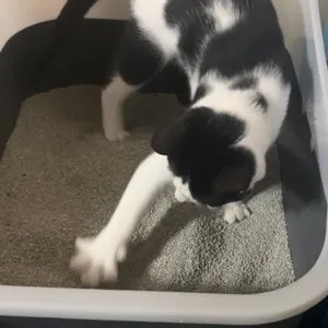 베스트 후기 이미지